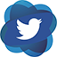 Twitter Maria da Luz